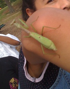 Maria and the Mantis